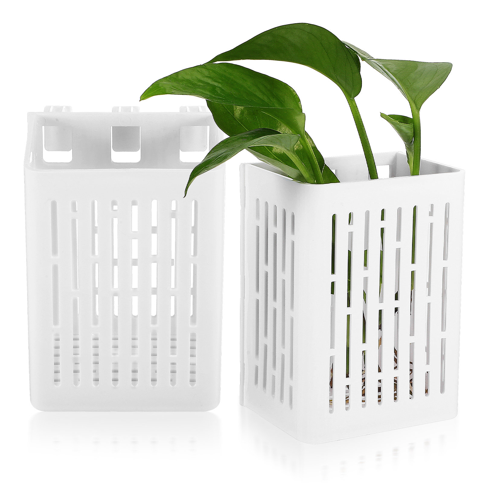 2Pcs Hanging Aquarium Planter  - Aquarium Planted Setup avaliação e preço