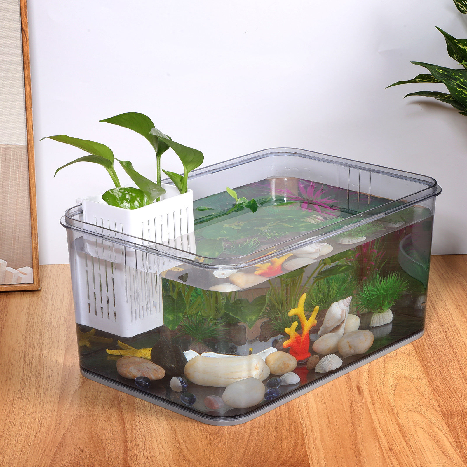 2Pcs Hanging Aquarium Planter  - Aquarium Planted Setup avaliação e preço
